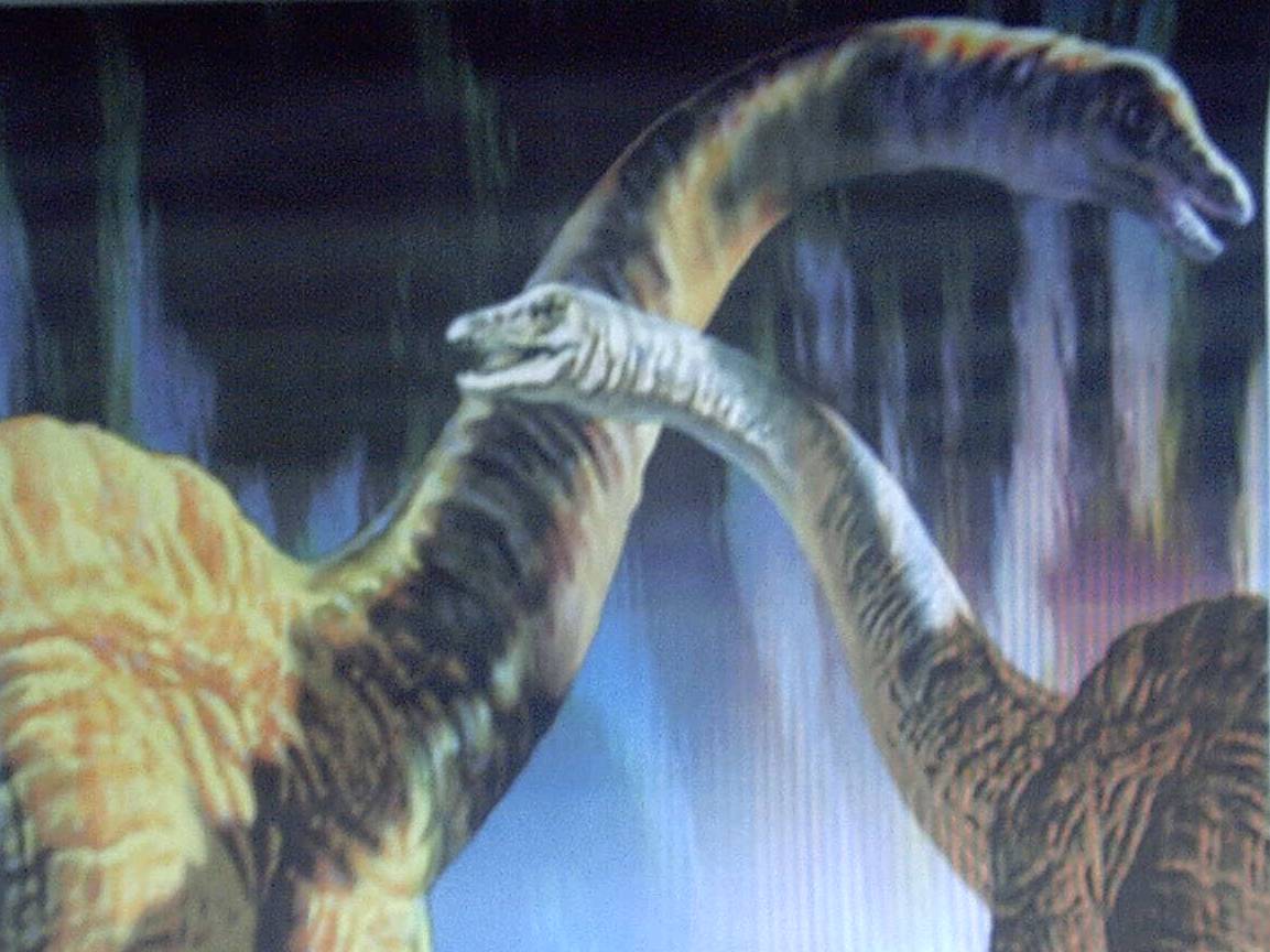 brontosaurus.jpg