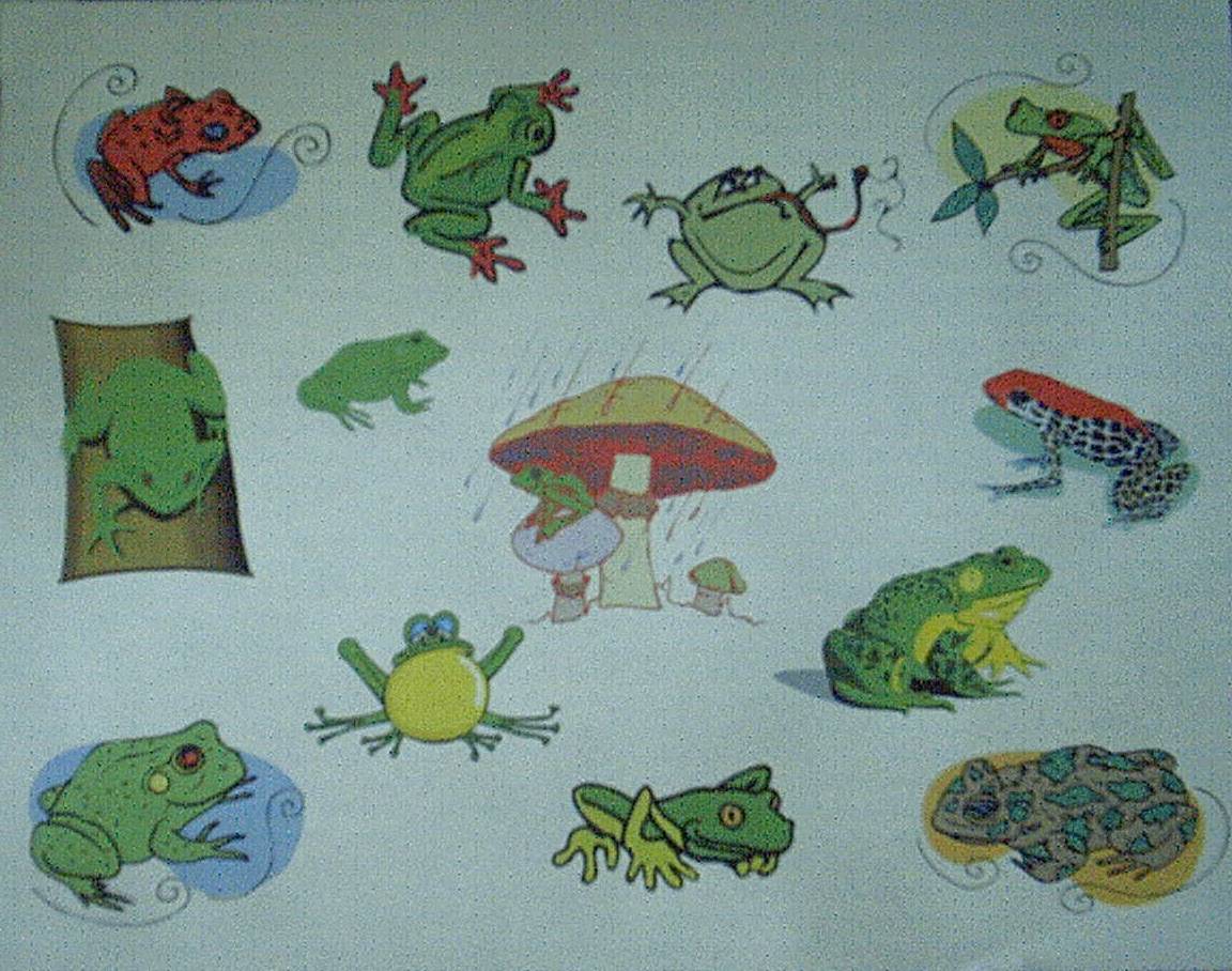 frogs.jpg