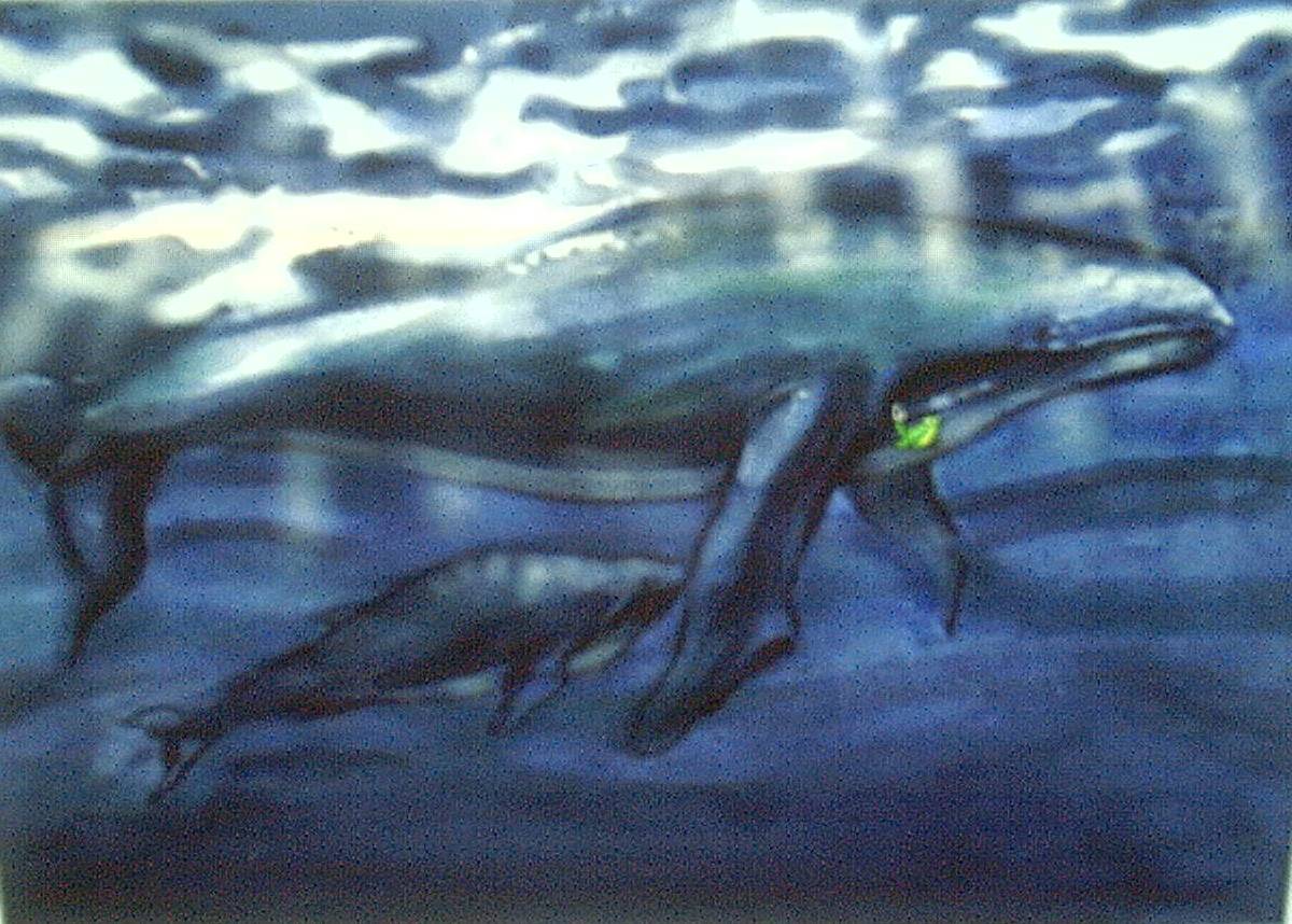 humpbacks.jpg
