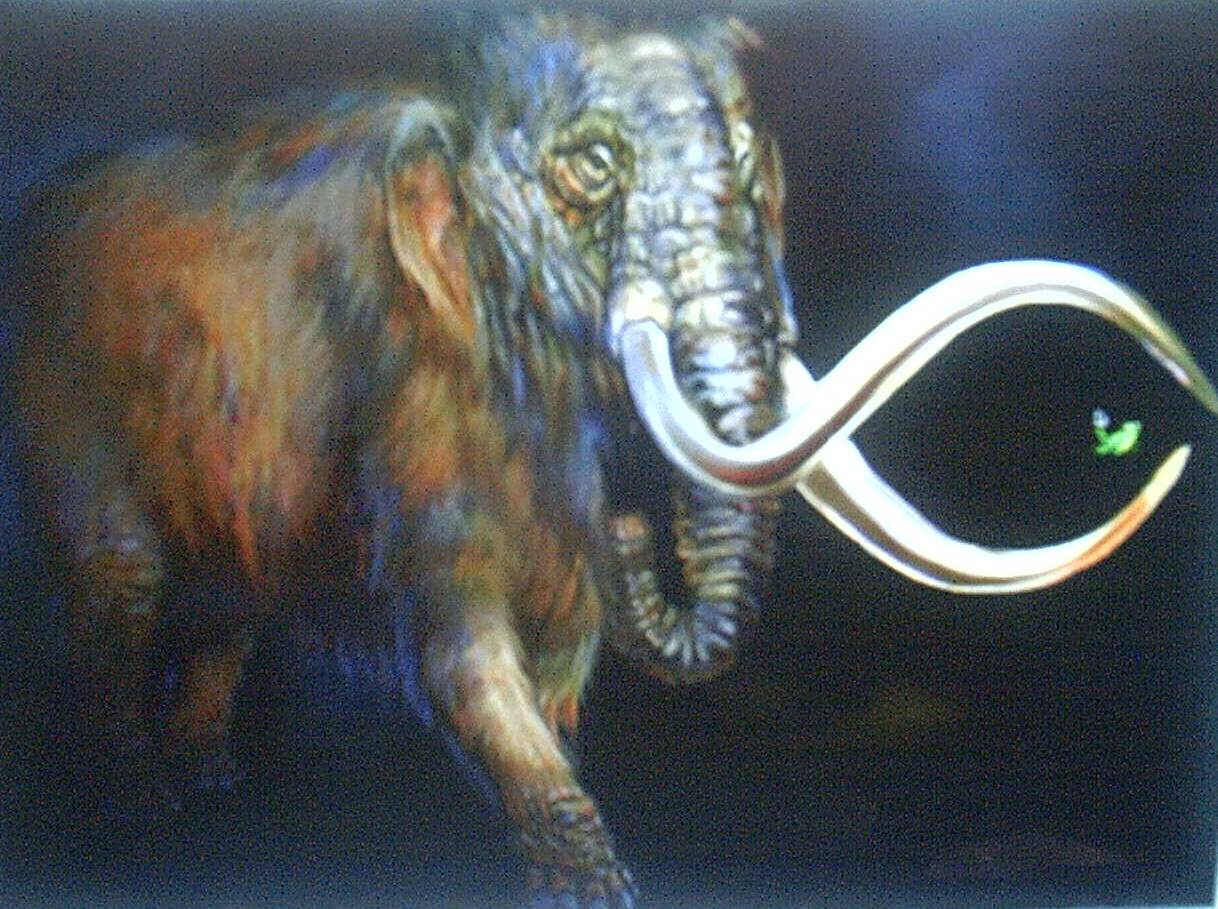 mammoth.jpg