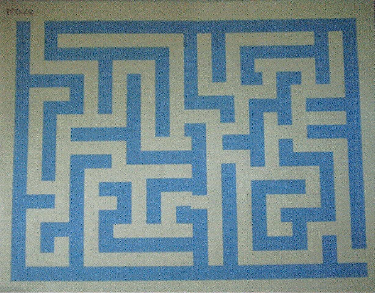 maze.jpg