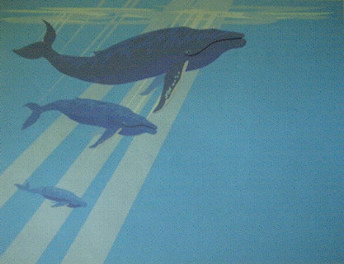 podofwhales.jpg