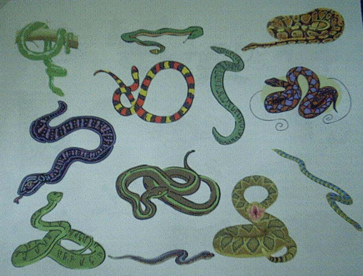 snakes.jpg