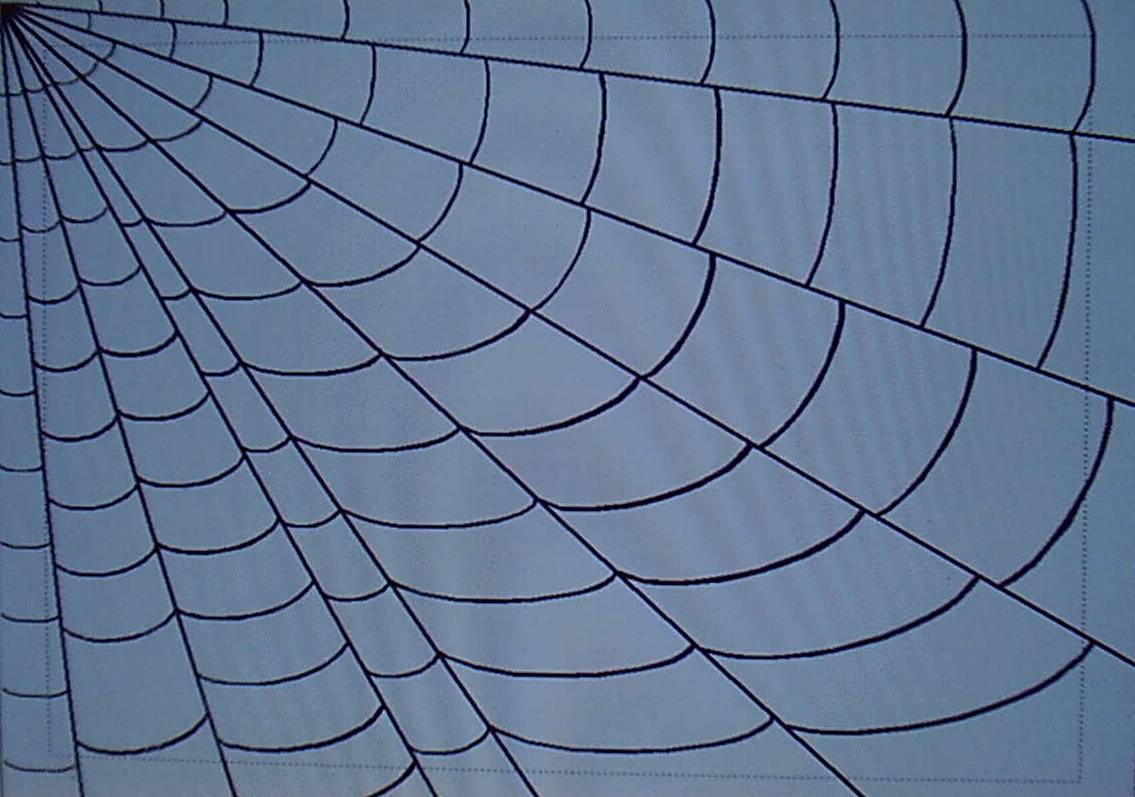 spiderweb.jpg