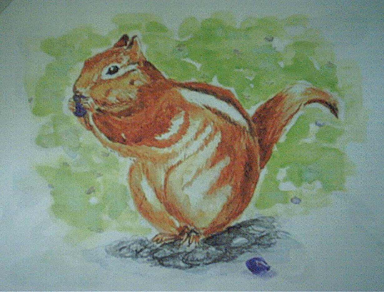 squirrel.jpg