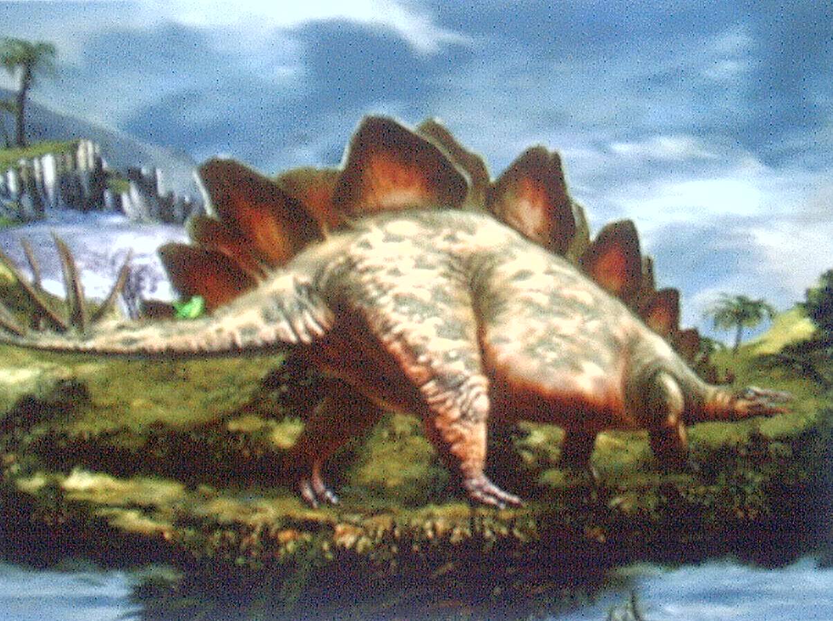stegosaurus.jpg