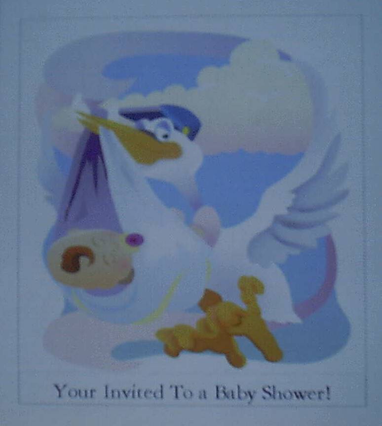 stork.jpg
